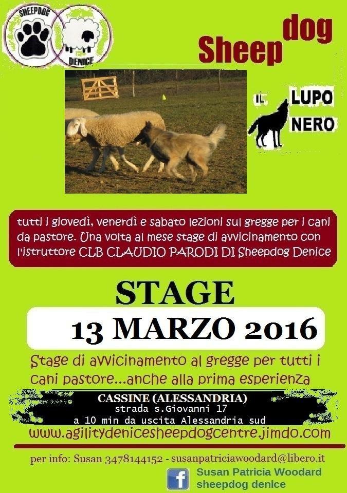 13 Marzo 2016 – Avvicinamento – Cassine (AL)