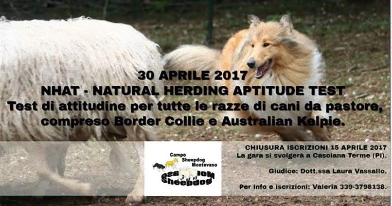 30 Aprile 2017 – Casciana Terme (PI)