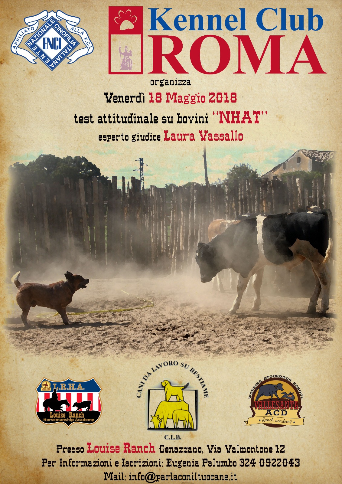 18 MAGGIO 2018 TEST ATTITUDINALE SU BOVINI NHAT presso LOUISE RANCH ROMA