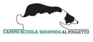 Campo scuola Clb sheepdog Al Poggetto