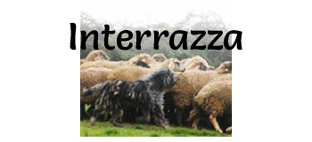 Interrazza