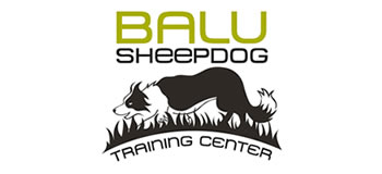 Balu Sheepdog Training Centre
