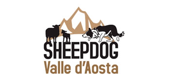 Sheepdog Valle d'Aosta